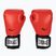 Рукавиці боксерські Everlast Pro Style 2 червоні EV2120 RED