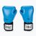 Рукавиці боксерські Everlast Pro Style 2 блакитні EV2120 BLU