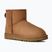 Черевики зимові жіночі UGG Classic Mini II chestnut