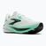 Кросівки для бігу чоловічі Brooks Ghost 18 white/spring bud/spruce