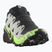 Кросівки для бігу чоловічі Salomon Speedcross 6 GTX black/alloy/green gecko