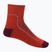 Шкарпетки трекінгові жіночі icebreaker Hike+ Light Mini red