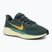 Кросівки для бігу чоловічі Nike Pegasus 41 vintage green / bicoastal / black / infinite gold