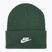 Зимова шапка Nike Peak Futura Beanie ялина/біла