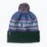 Шапка зимова Patagonia Powder Town park stripe: barnacle blue