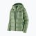Пуховик жіночий Patagonia Fitz Roy Down Hoody ellwood green