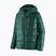 Пуховик чоловічий Patagonia Fitz Roy Down Hoody cascade green