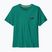 Футболка чоловіча Patagonia '73 Skyline gem green
