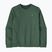 Кофта чоловіча Patagonia Fitz Roy Massif Daily Crew Canopy Green