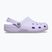 Шльопанці Crocs Classic purple halo