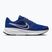 Кросівки для бігу чоловічі Nike Run Defy deep royal blue/world indigo/black/white