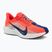 Кросівки для бігу жіночі Nike Pegasus Plus bright crimson / deep royal blue / silt red