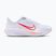 Кросівки для бігу жіночі Nike Quest 6 white / bright crimson / washed coral