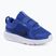 Взуття дитяче Nike Star Runner 5 game royal/white/black