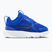 Взуття дитяче Nike Star Runner 5 game royal/white/black