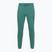 Штани чоловічі Under Armour Rival LW Graphic Jogger rack green/black