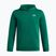 Кофта дитяча Under Armour B Rival Fleece Hoodie campus ivy/white