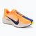 Кросівки для бігу чоловічі Nike Pegasus Plus laser orange/alabaster/sail/indigo burst