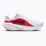Кросівки для бігу чоловічі Nike Downshifter 14 white/university red/anthracite/black