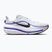 Кросівки для бігу чоловічі Nike Winflo 12 off white/white/wolf grey/black