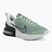 Кросівки для тренувань чоловічі Nike Air Max Alpha Trainer 6 steam/spruce aura/off white/black spruce