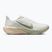Кросівки для бігу чоловічі Nike Pegasus 42 spruce aura/pale ivory/jade horizon