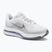 Кросівки для бігу чоловічі Nike Pegasus Premium white/hydrogen blue/aluminum/grey fog