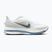 Кросівки для бігу чоловічі Nike Pegasus Premium white/hydrogen blue/aluminum/grey fog