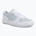 Жіноче взуття Jordan Court Connect Low white/aura/psychic blue