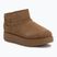Кросівки жіночі Skechers Keep Cozy chestnut