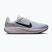 Кросівки для бігу чоловічі Nike Quest 7 pure platinum/white/wolf grey/black