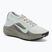Кросівки для бігу чоловічі Nike ACG Pegasus Trail GORE-TEX Light Silver/Light Army/Light Silver