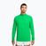 Кофта для бігу чоловіча Nike Stride 1/4 Zip Dri-Fit green spark