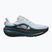 Кросівки для бігу чоловічі Nike Winflo 12 football grey/black
