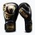 Рукавиці боксерські Venum Giant 2.0 Mike Tyson Pro Boxing black/gold