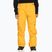 Дитячі сноубордичні штани Quiksilver Estate Молодіжні мінерально-жовті