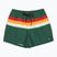 Шорти для плавання чоловічі Quiksilver Everyday Printed Volley 15" forest outside stripe