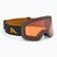 Окуляри лижні Alpina Ladis Q black/ gold matt/ gold