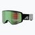 Окуляри лижні Alpina Venet Q-Lite black/green matt