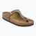 В'єтнамки BIRKENSTOCK Gizeh Birkibuc stone