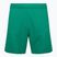 Дитячі футбольні шорти Capelli Sport Cs One Adult Match зелені/білі