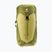 Туристичний рюкзак deuter AC Lite 24 л лінден/кактус