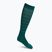Компресійні шкарпетки для бігу чоловічі CEP Reflective зелені WP50GZ