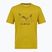 Футболка чоловіча Salewa Eagle Geometric olive oil