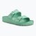 Шльопанці BIRKENSTOCK Arizona EVA Narrow bold jade