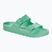 Шльопанці Arizona EVA Регулярні шльопанці BIRKENSTOCK сміливий нефрит