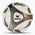 М'яч футбольний ERIMA Hybrid Training white/gold розмір 5