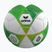 М'яч футбольний дитячий Erima Hybrid Lite 290 size 5 green gecko/lime