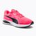 Кросівки для бігу жіночі PUMA Twitch Runner рожеві 376289 22