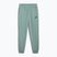 Штани чоловічі PUMA ESS No. 1 Logo Sweatpants TR CL green moon